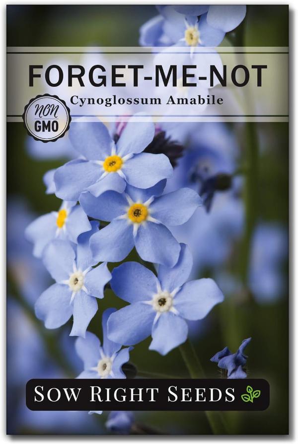 Full-color Forget-Me-Not seed packet, symbolizing remembrance with blue blossoms, a thoughtful addition to sympathy gifts.