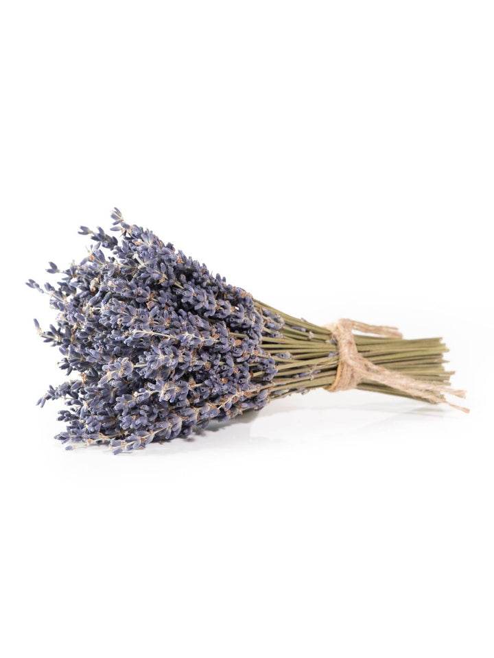 Petite French Lavender Bundle