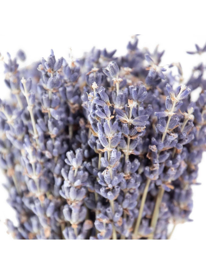 Petite French Lavender Bundle